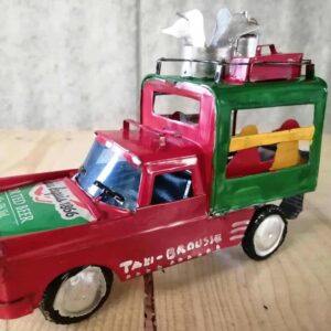 model bush taxi